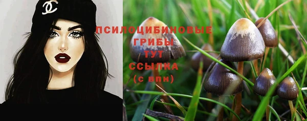 ГАЛЛЮЦИНОГЕННЫЕ ГРИБЫ Армянск