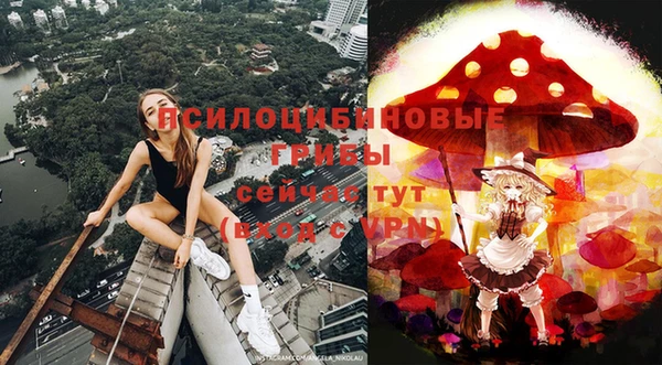 тгк Баксан