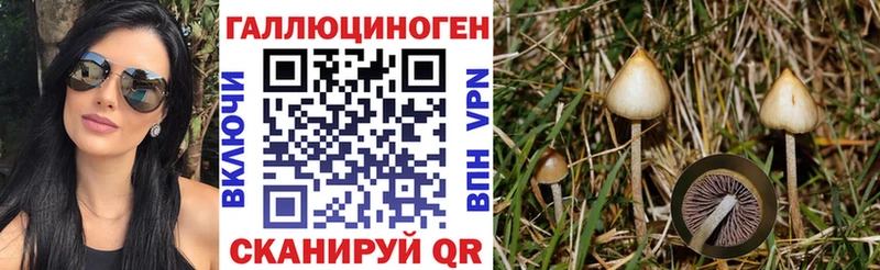 Галлюциногенные грибы GOLDEN TEACHER  гидра как войти  Бологое  цены  