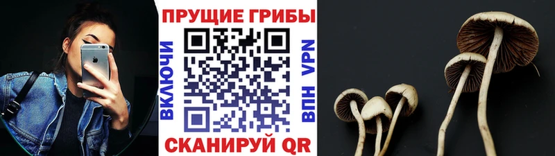 Псилоцибиновые грибы Magic Shrooms Бологое