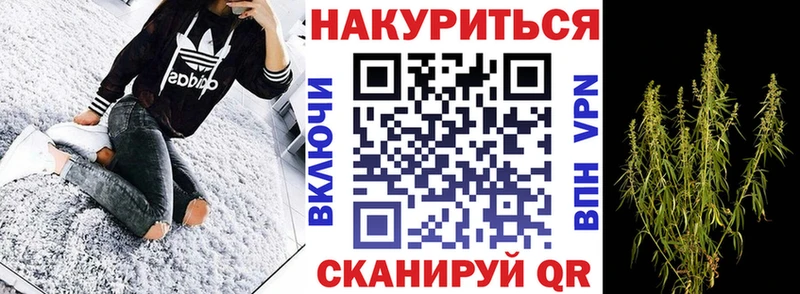 Шишки марихуана планчик Бологое